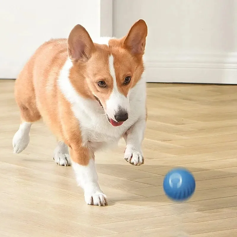 Super-Bola De Brinquedo Inteligente De Pet Animais De Estimação