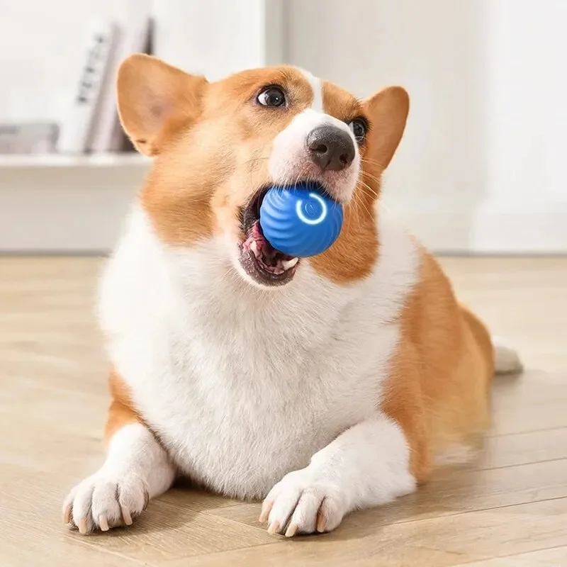 Super-Bola De Brinquedo Inteligente De Pet Animais De Estimação