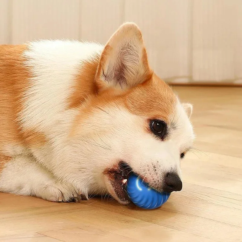 Super-Bola De Brinquedo Inteligente De Pet Animais De Estimação