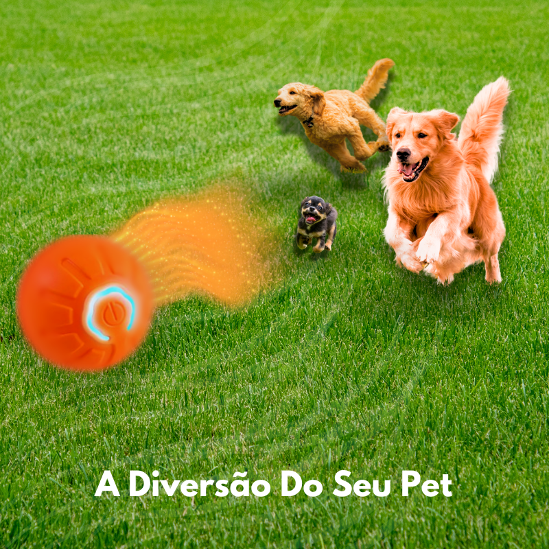 Super-Bola De Brinquedo Inteligente De Pet Animais De Estimação