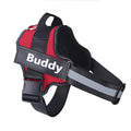 Cinta Para Cão Peito ConfortMax Buddy